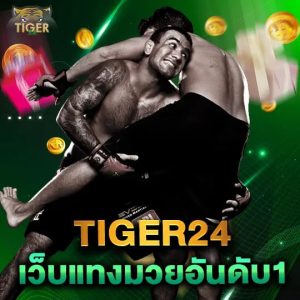 tiger24 เว็บแทงมวยอันดับ1