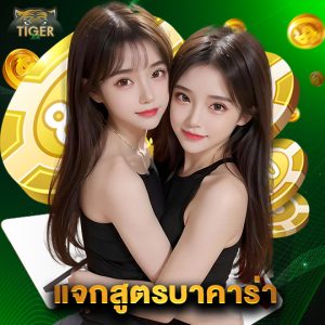 tiger24 แจกสูตรบาคาร่า